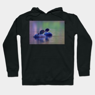 Morning outing - Common loon Hoodie